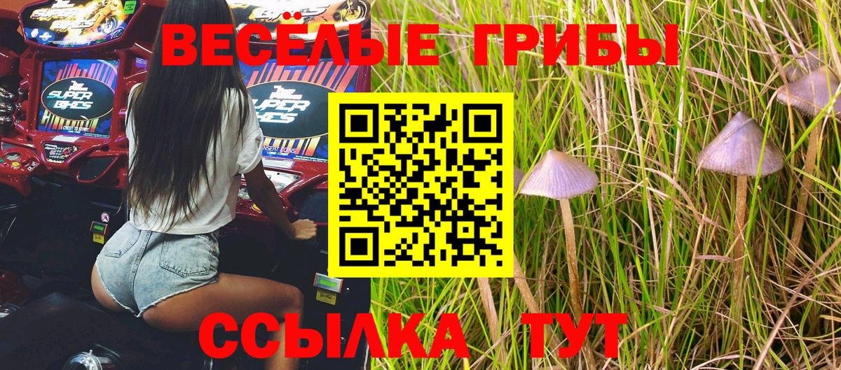 Псилоцибиновые грибы прущие грибы Советск
